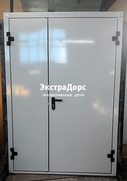 Противопожарная дверь EI 30 3 типа двупольная белая в Ногинске  купить