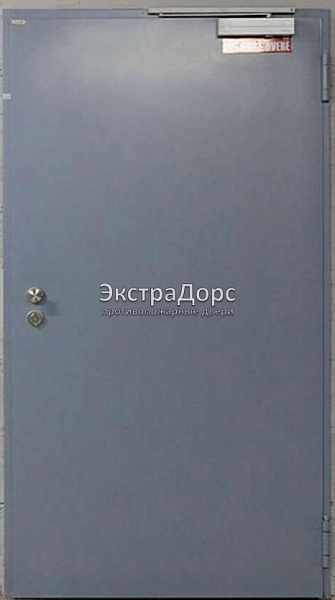 Противопожарная дверь однопольная дымогазонепроницаемая металлик в Ногинске  купить