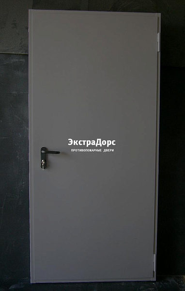 Дверь металлическая противопожарная EI 60 ДПМ 2 типа серая в Ногинске  купить